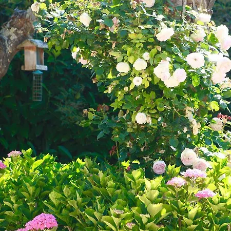 La Longere Deauville לינה וארוחת בוקר 3*