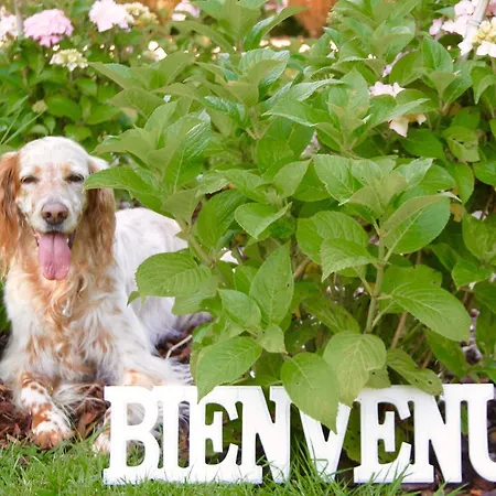 לינה וארוחת בוקר La Longere Deauville Bonneville-sur-Touques