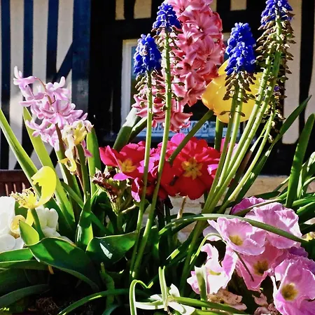 Nocleg ze śniadaniem La Longere Deauville