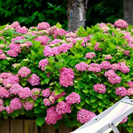 La Longere Deauville Nocleg ze śniadaniem 3*