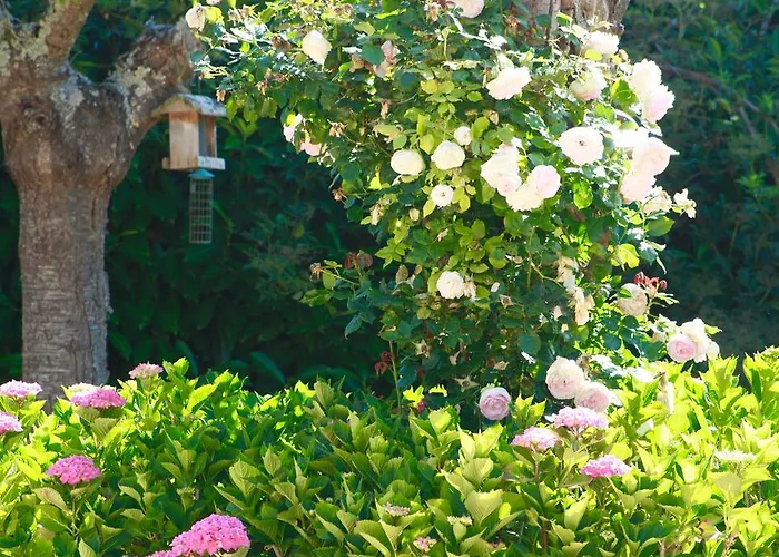 La Longere Deauville Nocleg ze śniadaniem 3*