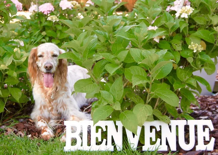 Couette-café La Longère Bonneville-sur-Touques