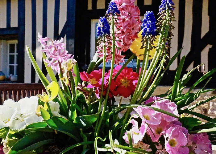 Nocleg ze śniadaniem La Longere Deauville