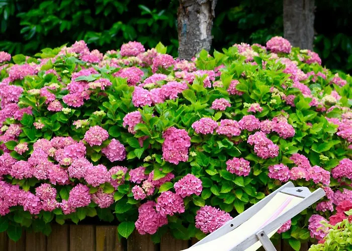 La Longère Deauville Bed & Breakfast 3*