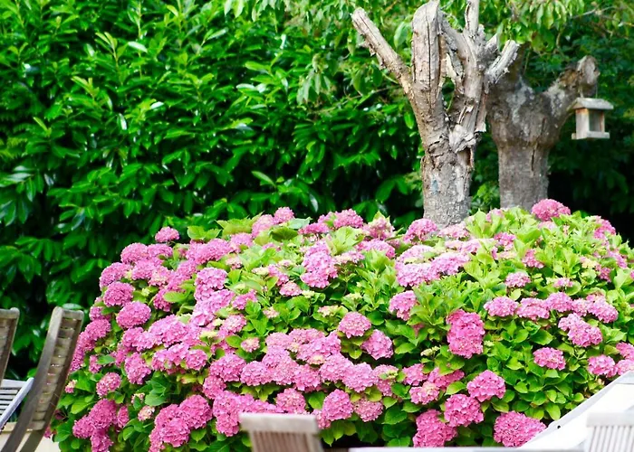 La Longère Bonneville-sur-Touques